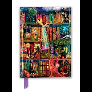 Treasure Hunt Bookshelves Foiled Notebook