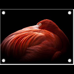 Tuin decoratie Flamingo - Veren - Roze - 40x30 cm - Tuindoek - Buitenposter