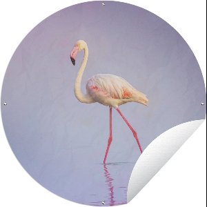 Tuincirkel Flamingo - Water - Roze - 120x120 cm - Ronde Tuinposter - Buiten XXL / Groot formaat!