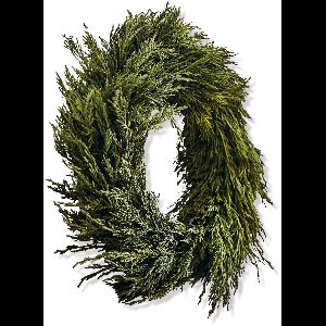 LOBERON Krans Tarbes groen