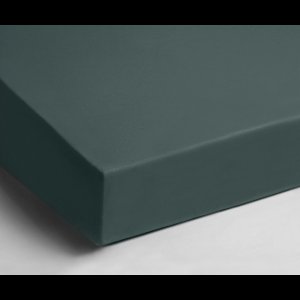 Papillon - hoeslaken - dubbel jersey - Donkergroen - 90x200 - 100% Katoen - Stretch - Rondom elastiek - Hoge hoek-