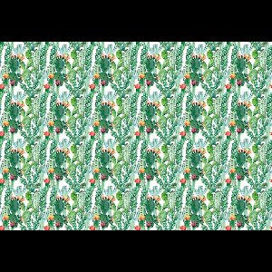 Fotobehang - Vlies Behang - Muur van Cactussen - 254 x 184 cm