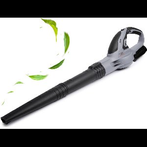 QLT Accu Bladblazer met Lader – Lichtgewicht en Krachtig Tuingereedschap voor Bladeren, Stof en Grasresten – 12V
