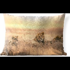Buitenkussens - Tuin - Leeuw en leeuwin liggend in het gras - 60x40 cm