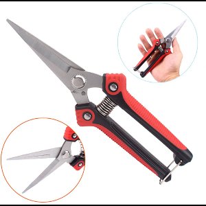 JeiibrZui Tuinschaar - Snoeischaar - Precisie Geslepen Messen Van Roestvrij Staal - 1 Stuk - Voor Tuin En Binnentuin