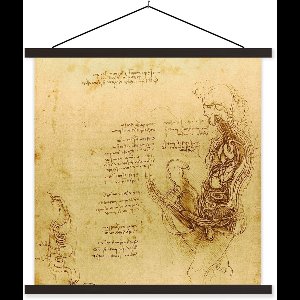 Posterhanger incl. Poster 90x90 cm - Schoolplaat - De menselijke voortplanting - Leonardo da Vinci - Textielposter - Zwarte latten