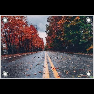 Tuinposter –Weg met Rode en Groene Bomen -150x100  Foto op Tuinposter  (wanddecoratie voor buiten en binnen)