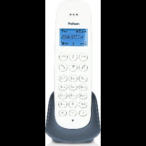 Profoon PDX300AE - DECT telefoon met 1 handset, leisteen
