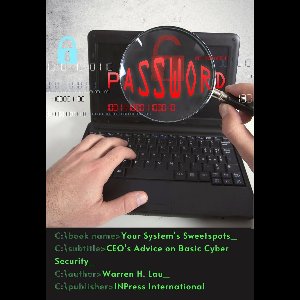 CEO's Advice on Computer Science - Your System's Sweetspots: CEO's Advice on Basic Cyber Security