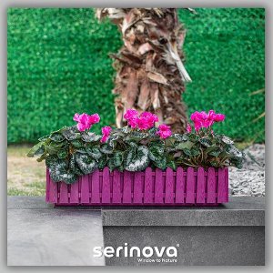 Luxe Bloembak fushia houtlook Istanbul 55 cm x20 cm met waterdrainage binnen/buiten