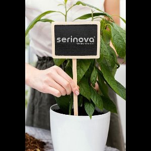 3 Luxe Bloempotten witte onbreekbare Ruby Smartpot 14cm Serinova met drainage winterhard