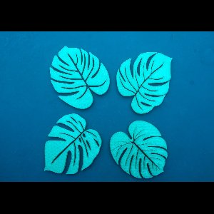 Groene Monstera Blad Onderzetters – Set van 4 - Design coasters - Moderne onderzetterset