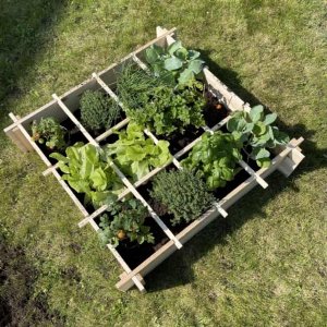 Terra Garden - Kweekbak - Plantenbak - Moestuin - Minigarden - Bloembak - Moestuinbak - 116x116x17