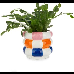 Balvi Bloempot Meerkleurig Keramiek 14,5cm