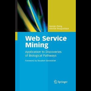 Web Service Mining