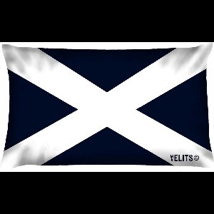 Sierkussen - Buitenkussen Hollands Glorie Bootkussen Waterafstotend Cross - Wit En Blauw - 60 Cm X 40 Cm