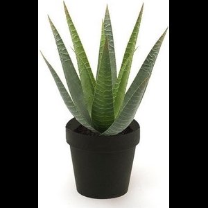 Kunstplant aloe vera groen in pot 23 cm - Kamerplant groene aloe vera