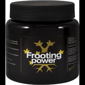 BAC FROOTING POWER (325 GRAM)