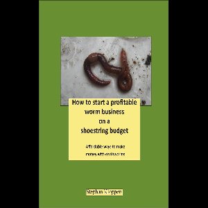 How to Start a Profitable Worm Business on a Shoestring Budget