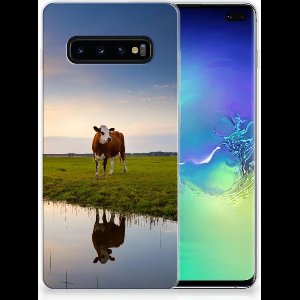 Samsung Galaxy S10 Plus TPU Hoesje Koe