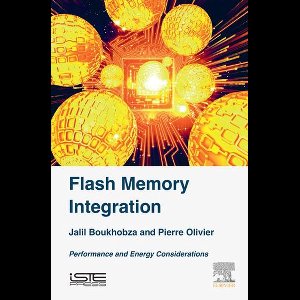 Flash Memory Integration: Performance and Energy Issues