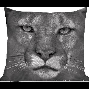 Buitenkussen Weerbestendig - Panter - Wilde dieren - Zwart - Wit - 50x50 cm