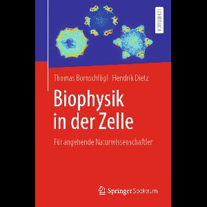 Biophysik in der Zelle