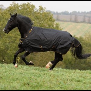 Irish Turnout deken o gr Black/Gold - 135/185 - Regendeken