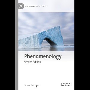 Palgrave Philosophy Today- Phenomenology
