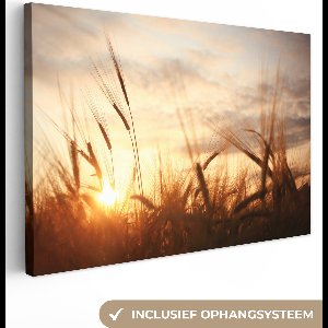 Canvas - Schilderij - Riet - Gras - Zon - Natuur - Schilderijen woonkamer - Canvas natuur - 90x60 cm - Slaapkamer - Kamer decoratie