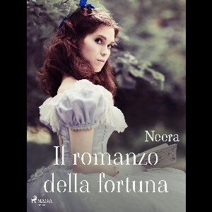 Il romanzo della fortuna