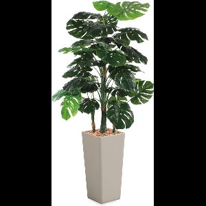 HTT - Kunstplant Monstera in Clou vierkant taupe H195 cm