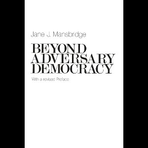 Beyond Adversary Democracy
