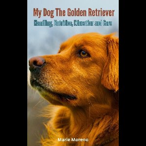 My Dog The Golden Retriever, Handling, Nutrition, Education and Care