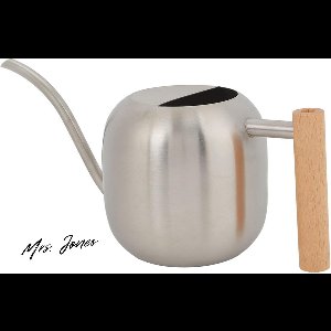 Mrs. Jones Grote Capaciteit Bloemgieter voor Binnen en Buiten - Kamerplanten Tuingieters Lange Uitloop (Zilver) .