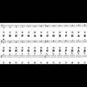 Scoby - Pianostickers - Keyboard Stickers - Voor Beginners - Voor 37, 49, 54, 61 en 88 toetsen - Piano Stickers - Universeel - Zwart