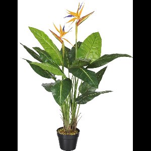 Kunstplant Strelitzia H110cm - HTT Decorations kunstplanten