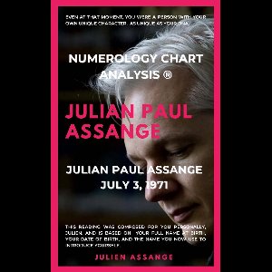MangoPresse 9 - Julien Assange