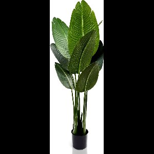 IvoQ Strelitzia Kunstplant 120 cm – Duurzaam, Realistisch, Stijlvol en Onderhoudsvrij