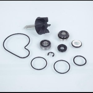 Pompe à eau Sifam pour Scooter Suzuki 250 An Burgman 1998 à 2006 Neuf