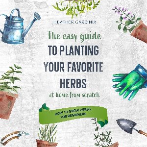 How to Grow Herbs for Beginners