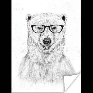 Poster IJsbeer - Bril - Wit - Dieren - 60x80 cm