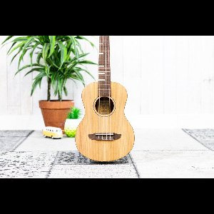 Ortega RUTI-TE Timber Series Tenor