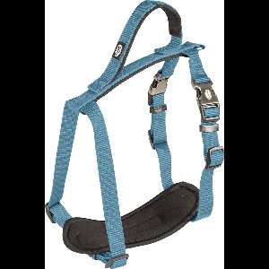 Duvoplus - Hondentuigje - Hond - Explor North Harnas Nylon M 40-50cm/15mm Petrol - 1st