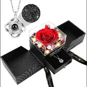 Provento - Eeuwige roos halsketting voor dames - Geconserveerde bloemen - Rozenbox geschenk - Vrouwen - Valentijnsdag cadeau - Moederdag - Verjaardag - Jubileum - Rood