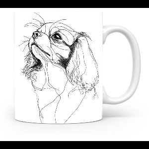 Beker Epagneul Nain Continental (Papillon/Phalène)