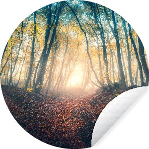WallCircle - Muurstickers - Behangcirkel - Bos - Mist - Zon - Herfst - 80x80 cm - Muurcirkel - Zelfklevend - Ronde Behangsticker