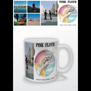 Pink Floyd Wish You Were Here Mok