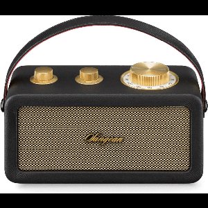Sangean Ra-101 Draagbare Radio Goud One Size / EU Plug 220V