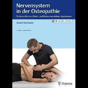 Nervensystem in der Osteopathie